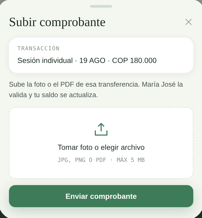 Portal del paciente subiendo el comprobante de una transferencia