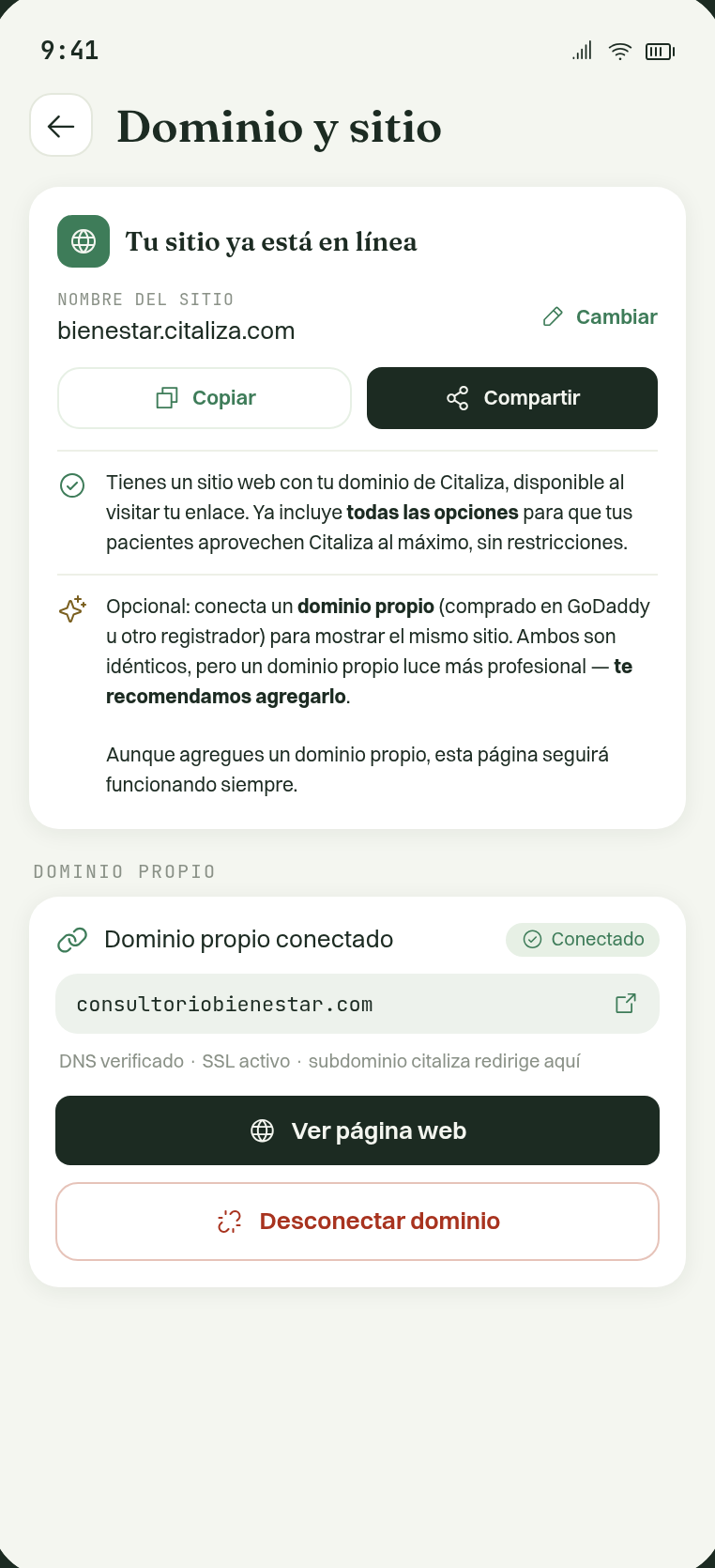 Dominio propio conectado con DNS verificado y SSL activo