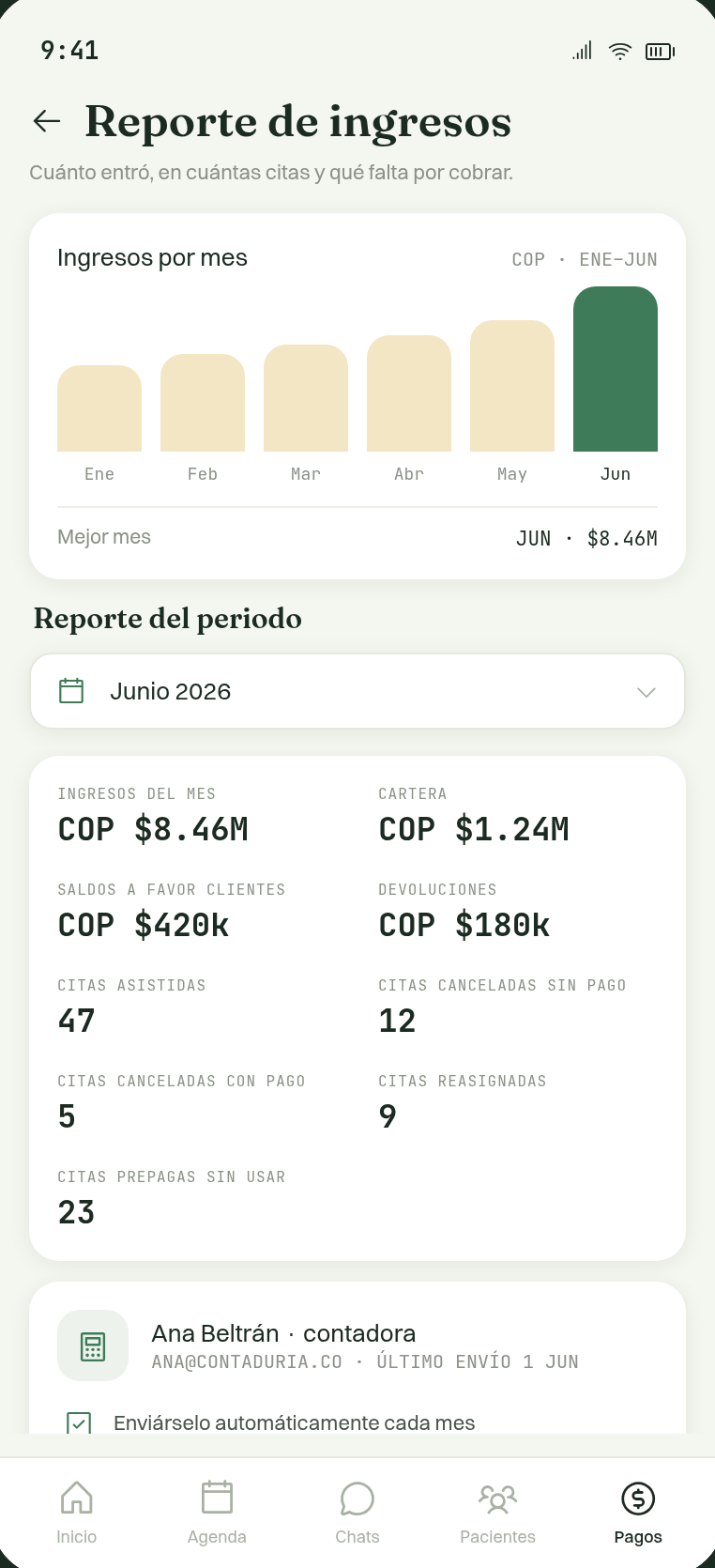 Reporte de ingresos del mes en una cuenta de demostración