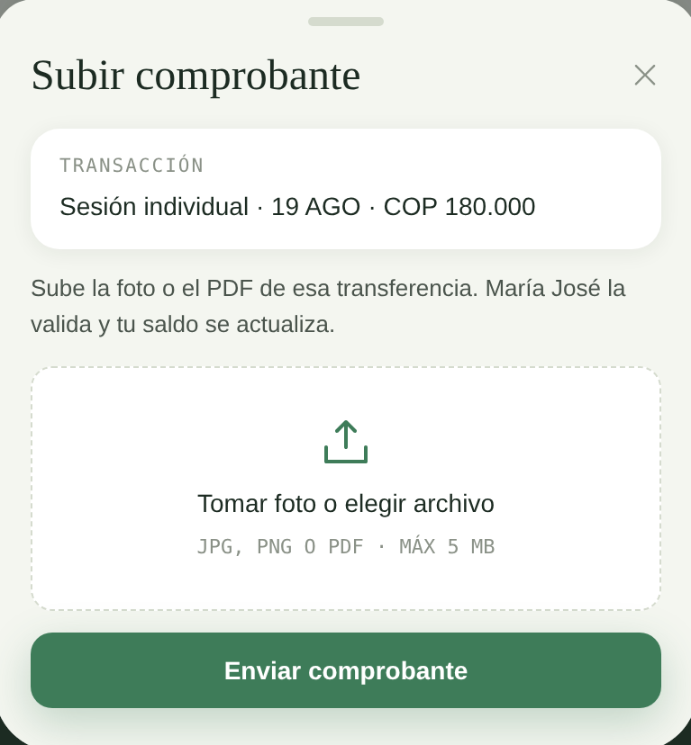 Portal del paciente subiendo el comprobante de una transferencia